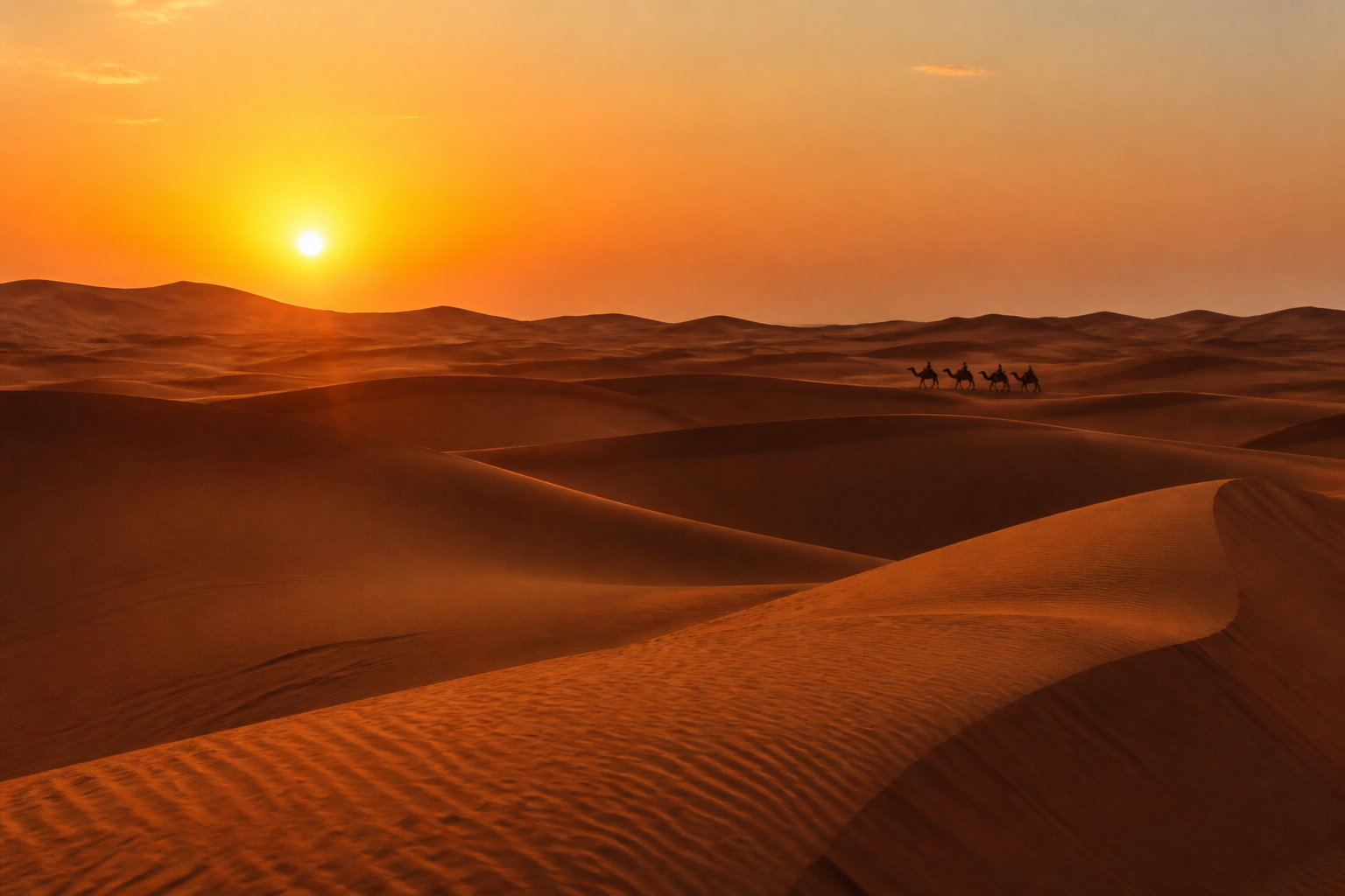 Camel caravan silhouettes crossing Sahara dunes at golden hour